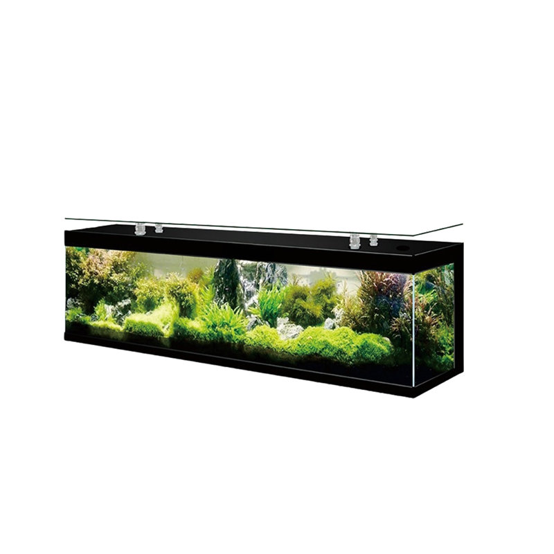 Orren Ellis Lakendria | Wayfair